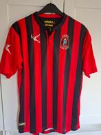 Virtus Lanciano voetbal shirt maat L 2015 -2016, Ophalen of Verzenden, Zo goed als nieuw, Buitenlandse clubs, Shirt