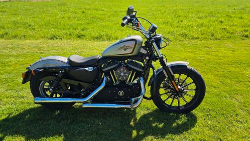 Harley Davidson XL 883 Sportster Iron - bj. 2012 - Custom!, Motoren, Motoren | Harley-Davidson, Particulier, Chopper, meer dan 35 kW