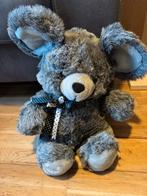 Schattige Koala beer, Ophalen of Verzenden, Zo goed als nieuw, Beer