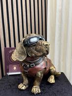 Piloot Teckel beeld : uit de shabella-deco collectie, Shabella-deco, Nieuw, Ophalen of Verzenden, 5953kr