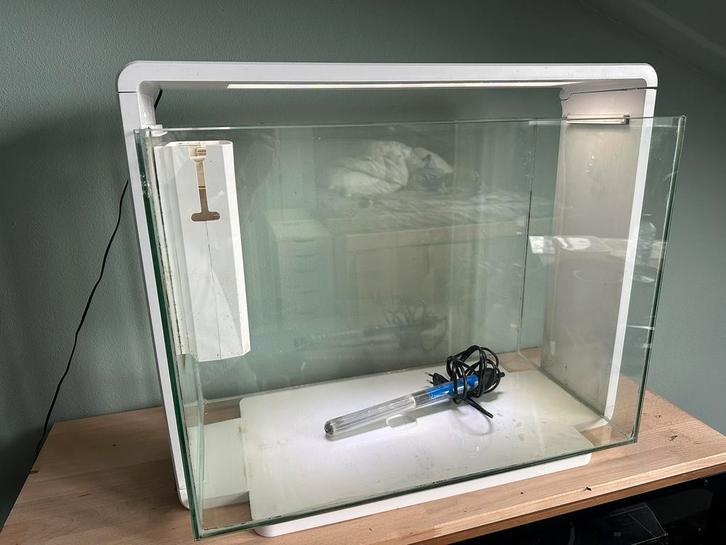 Aquarium Superfish 85, Dieren en Toebehoren, Vissen | Aquariumvissen, Zoetwatervis, Vis
