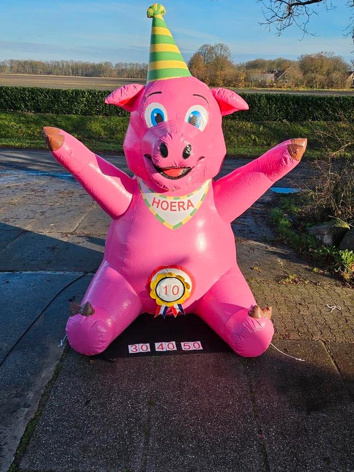 Feestvarken te huur!!!, Kinderen en Baby's, Speelgoed | Buiten | Opblaasfiguren, Zo goed als nieuw, Ophalen