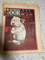 Muziekkrant OOR 1978 CHRIS RAINBOW David Coverdale PANIC, Ophalen of Verzenden, Muziek, Film of Tv