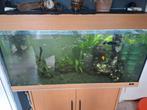 Jewel 180L aquarium compleet met uv filterpomp, vissen,  enz, Dieren en Toebehoren, Vissen | Aquaria en Toebehoren, Ophalen, Jewel