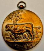 Oude medaille 1933 Jaarmarkt Gemeente Willebroeck, Postzegels en Munten, Penningen en Medailles, Ophalen of Verzenden, Overige materialen