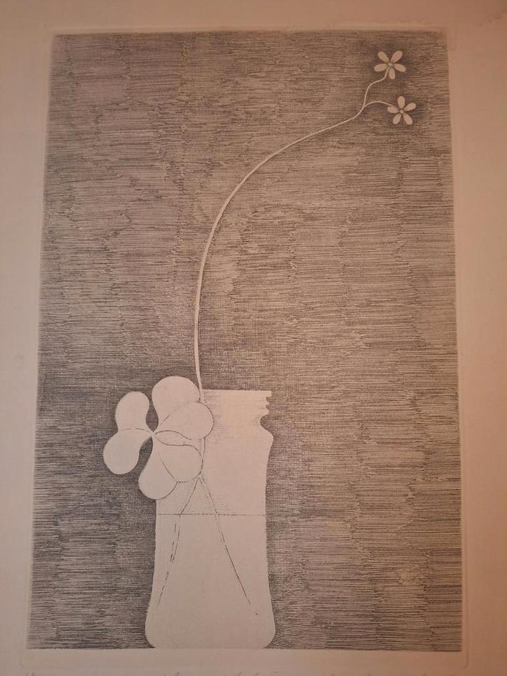 Ets Fantasie met Bloemen in Vaas 1971, Antiek en Kunst, Kunst | Etsen en Gravures, Ophalen of Verzenden