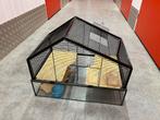 Hamstekooi met glazen bak en toebehoren, Dieren en Toebehoren, Kooi, Gebruikt, Minder dan 75 cm, Hamster