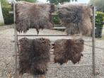 Div schapenvachten te koop , met de handgevilt, Dieren en Toebehoren, Schapen, Geiten en Varkens, Meerdere dieren, Schaap