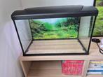 Aquarium met toebehoren incl zonsopganglamp, Ophalen, Zo goed als nieuw, Leeg aquarium