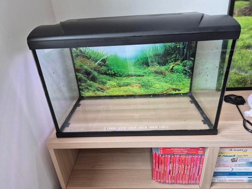 Aquarium met toebehoren incl zonsopganglamp, Dieren en Toebehoren, Vissen | Aquaria en Toebehoren, Zo goed als nieuw, Leeg aquarium