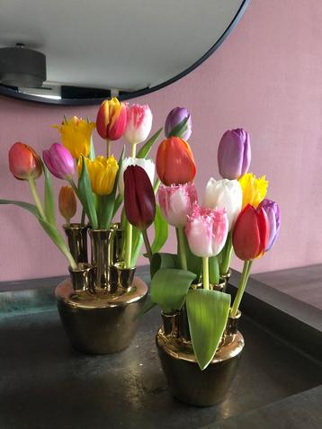 Tulpenvaasje / bloemenvaas/ toetervaas beschikbaar voor biedingen