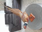 Opgezette Bosfazant Puntgaaf Ophalen !!!, Dieren en Toebehoren, Ophalen