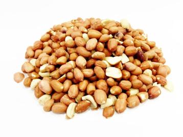 25kg gepelde pinda's Java voor de buitenvogels en eekhoorns beschikbaar voor biedingen