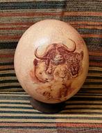 Struisvogel ei big five Afrika, Verzamelen, Dierenverzamelingen, Ophalen of Verzenden, Zo goed als nieuw, Beeldje of Figuurtje