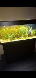 ZGAN aquarium Juwel, Ophalen, Zo goed als nieuw