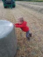 Midibalen te koop, Ophalen of Verzenden, Vee