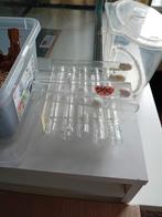 Ant Tray plus arena, Ophalen of Verzenden, Zo goed als nieuw, Terrarium of Paludarium