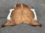Koeienhuid koevel koehuid koehuiden 804 VERKOCHT!, Eu, Eu, Ophalen of Verzenden, 200 cm of meer