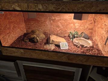 Osb3 terrarium 100x50x50 beschikbaar voor biedingen