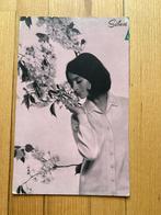 Vintage Sibon Oud kartonnen reclame bord  Jaren ’60, ‘70, Ophalen of Verzenden, Gebruikt, Reclamebord