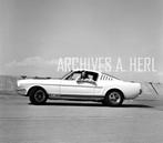 Ford Shelby GT350 Mustang FIRST ONE BUILD   1965  2, Verzamelen, Nieuw, Auto's, Verzenden