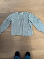 C&S Vest Gebreid Grijs/Groen Bloemen Maat M/L, Ophalen of Verzenden, Zo goed als nieuw, Maat 42/44 (L), Grijs