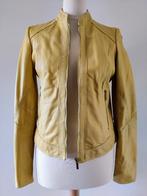 Arma Collection getailleerd jasje geel maat 36, Ophalen of Verzenden, Zo goed als nieuw, Jasje, Maat 36 (S)
