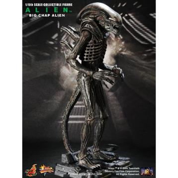 Hot Toys - 1/6 - MMS 106 - Alien - Big Chap Alien beschikbaar voor biedingen