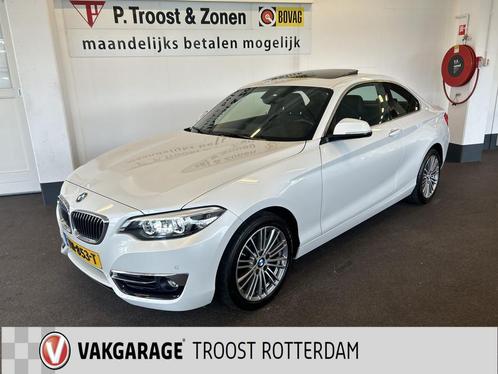 BMW 2 Serie Coupé 218i High Executive Automaat | Panoramada, Auto's, BMW, Bedrijf, Te koop, 2-Serie, ABS, Airbags, Airconditioning