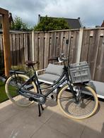 Batavus Packd N7 dames meisjes fiets 7 versnellingen, Fietsen en Brommers, Fietsen | Dames | Damesfietsen, Ophalen, Versnellingen