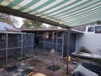 te koop nieuwe voliere 11 bij 3 meter plus meer, Dieren en Toebehoren, Vogels | Hokken en Kooien, Ophalen, Zo goed als nieuw, Aluminium