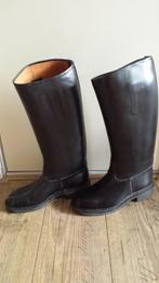 Derby rijlaarzen maat 41 nieuw in doos, Dieren en Toebehoren, Paardrijkleding, Ophalen of Verzenden, Nieuw, Dressuur, Schoeisel