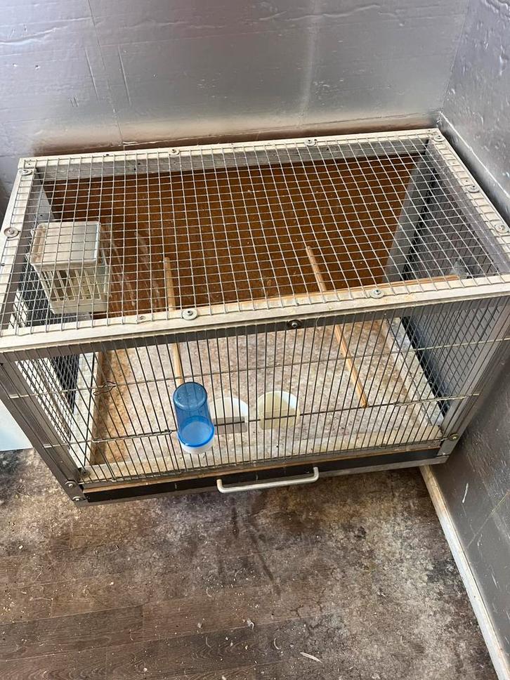 Aluminium kweekkooi voor vogels, Dieren en Toebehoren, Vogels | Hokken en Kooien, Zo goed als nieuw, Broedkooi of Kweekkooi, Aluminium