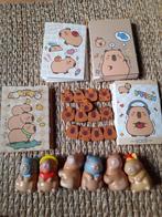 Capybara gums(13), notitieboekjes(13) en 6 squishies Nieuw!, Diversen, Notitieboeken, Ophalen of Verzenden, Nieuw, A5