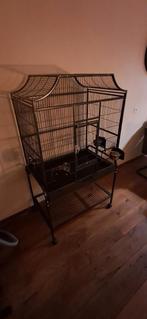 Papegaaienkooi metaal op wielen, Mannelijk, Papegaai
