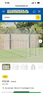 Kippenren, Meerdere dieren, Kip