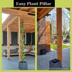 Klimplantrekken tegen overkappingen, muren en schuttingen, Ophalen of Verzenden, Nieuw, Metaal, Overige typen