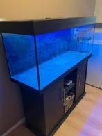 Aquarium met meubel, Dieren en Toebehoren, Vissen | Aquaria en Toebehoren, Ophalen, Gebruikt, Leeg aquarium