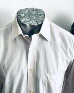 Ledub overhemd maat 38, Kleding | Heren, Overhemden, Ophalen of Verzenden, Zo goed als nieuw, Wit, Halswijdte 38 (S) of kleiner