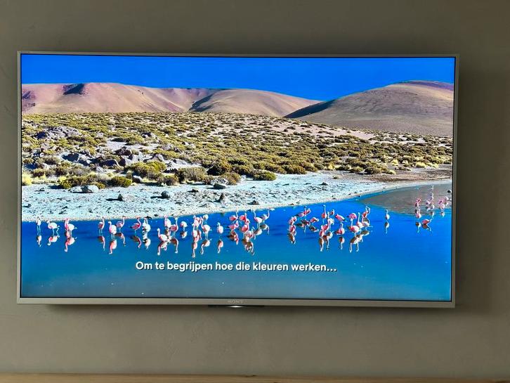 Sony 4K TV 49 inch, Audio, Tv en Foto, Televisies, Zo goed als nieuw, LED, 100 cm of meer, 4k (UHD), Sony, 100 Hz, Smart TV, Ophalen of Verzenden