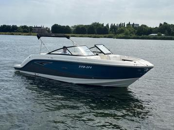 Sea Ray SLX 250 (bj 2020) beschikbaar voor biedingen