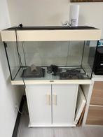 Juwel aquarium 125L, kast, pomp en toebehoren, Dieren en Toebehoren, Vissen | Aquaria en Toebehoren, Gebruikt, Ophalen, Leeg aquarium