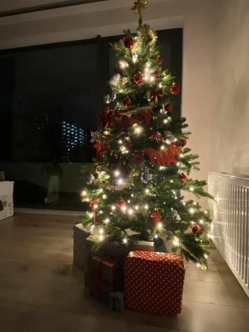 Kerstboom te verkopen beschikbaar voor biedingen