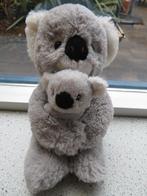 Koalabeer koala beer met jong merk Evora klittenband aan de, Ophalen of Verzenden, Zo goed als nieuw, Beer