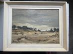 Landschap Haagsche school P.C. vd Wilt olieverf, Antiek en Kunst, Ophalen of Verzenden