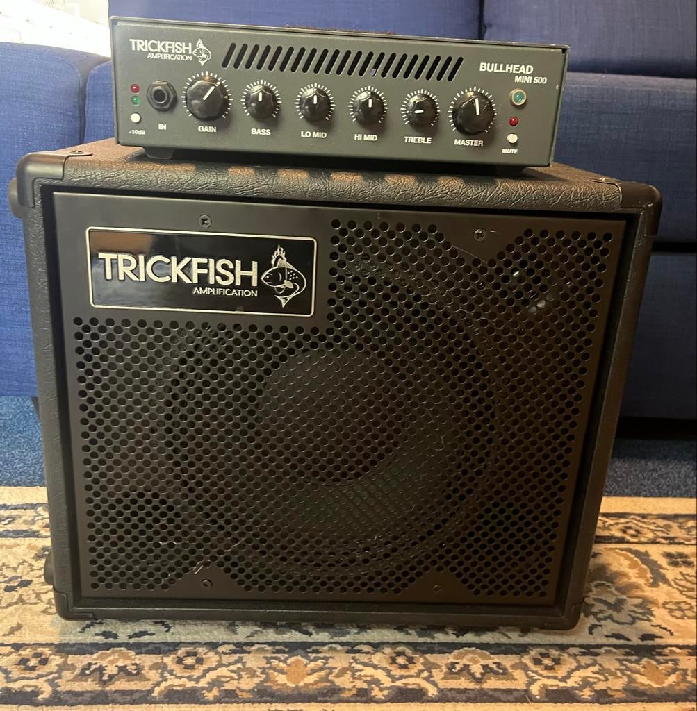 Trickfish 10 inch cabinet, Muziek en Instrumenten, Versterkers | Bas en Gitaar, Ophalen of Verzenden, Zo goed als nieuw, 100 watt of meer