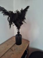 Zwarte vaas met zwarte pluimen. Als nieuw., Ophalen, Zwart, Minder dan 50 cm, Glas