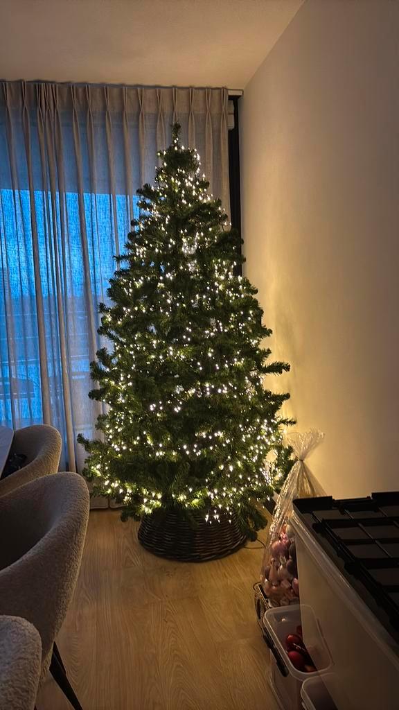 Kerstboom. In het echt mooier als op de foto., Diversen, Kerst, Ophalen