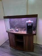 Juwel vision 260 aquarium + toebehoren, Ophalen of Verzenden, Gebruikt, Leeg aquarium