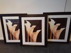 Schilderij/print incl lijst 3 luik Aronskelk, Ophalen, Minder dan 50 cm, Minder dan 50 cm, Print